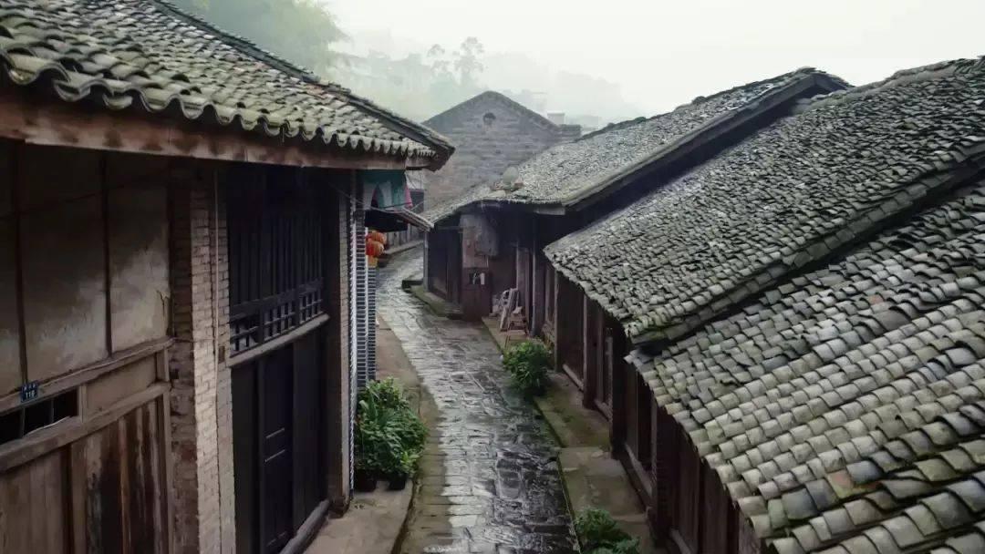 绯雨骑士团